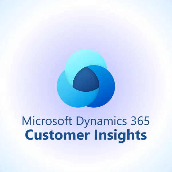 D365 Customer Insights
