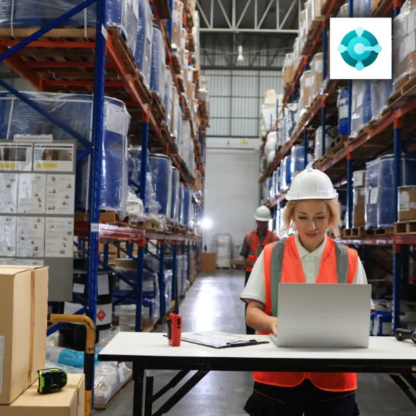 Inventory Planning and Optimization using D365BC/NAV – Part 2